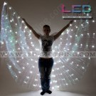 LED Wings with 140 ultrabright white LEDs
